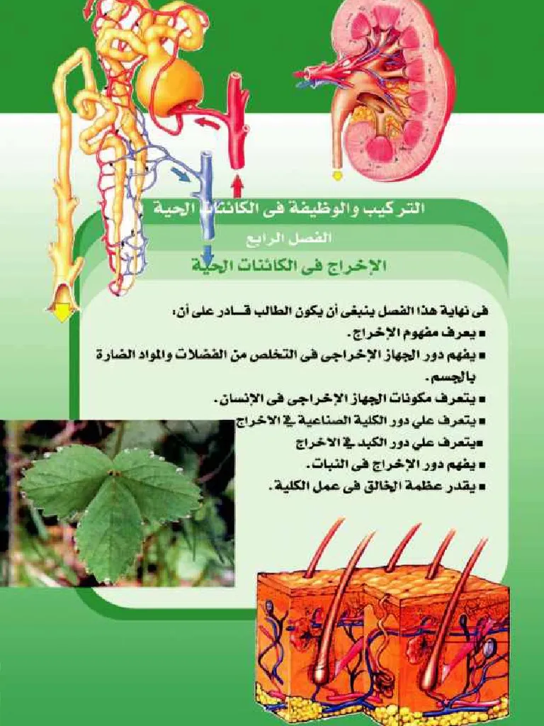 الاحياء الصف الثاني الثانوي الفصل الدراسي الثاني